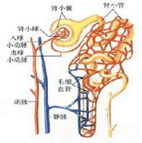关于小管的唯美语录