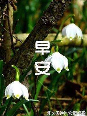 记忆的碎片的优美句子