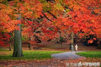最经典的《陌上云暮迟迟归》佳句摘抄大全
