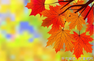 态度的优美句子