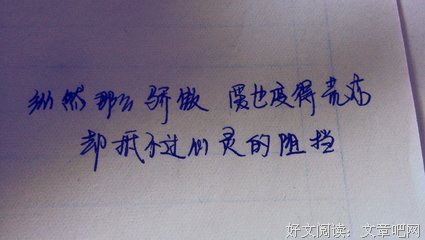 张杰（歌词）
