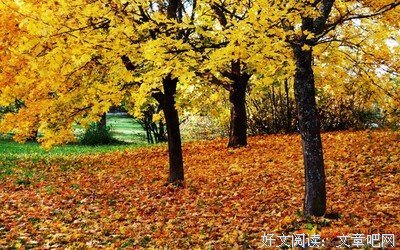 蓝优美的句子
