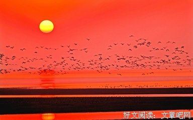 《黄石 第二季》经典观后感集