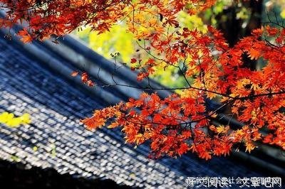 不说（深度好文）