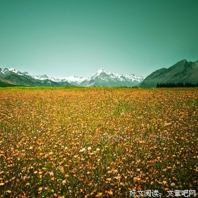 我凭什么。存在经典名句