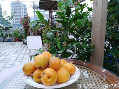 一家成比不天言好词好句