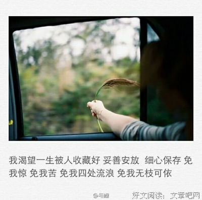 安安句子