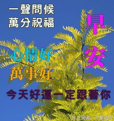9月16日清早起床问候朋友早上好漂亮动态表情，清晨早上好暖心的祝