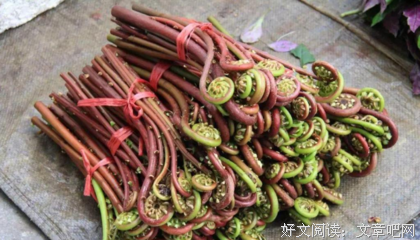 卫生组织曝：4种蔬菜已被拉入“致癌”名单，记得劝家人少碰！