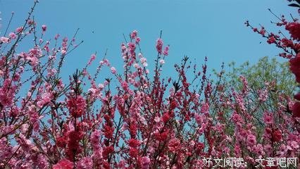 我想做一个花心到老的人！