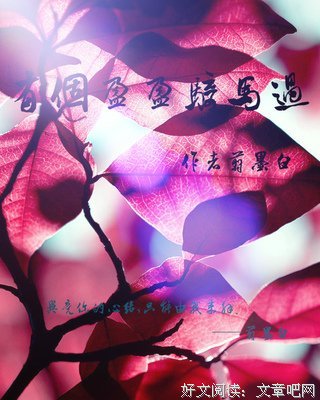 最新的墨白座右铭
