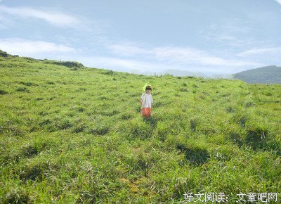 最新的《细雨喃喃 伽蓝雨》经典语录