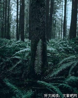 修心句子