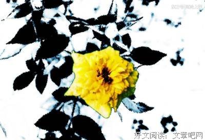 每声没天笑中宗罪句子大全