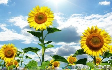 关于心灵触动的优美句子