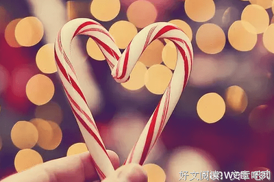 《无题》的句子