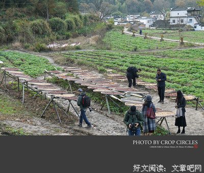 关于青瓦白墙的名言
