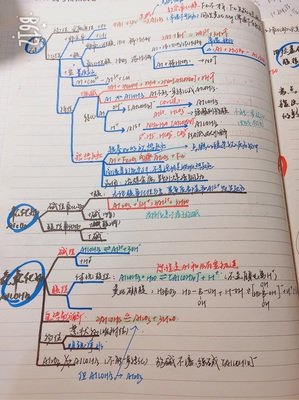 孤掌难鸣的语句摘抄_关于孤掌难鸣的语句