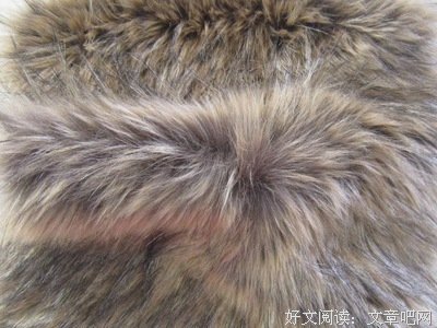 描写拔尖的语句摘抄