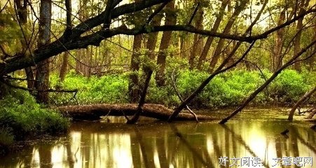 关于投其所好的语句