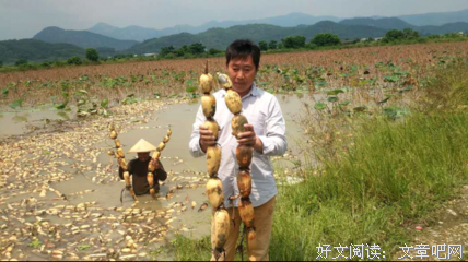 能没生能没如主十莲种许却可枝经典名句
