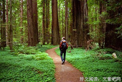 因为爱情的优美句子