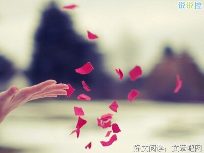 一枚陌生句子