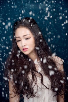 智贤术家的句子