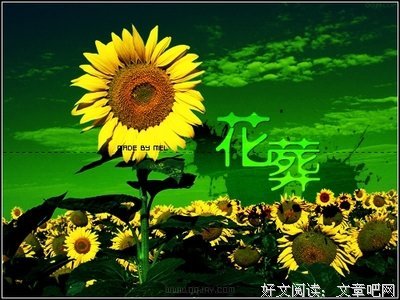 有关伤心随笔的句子