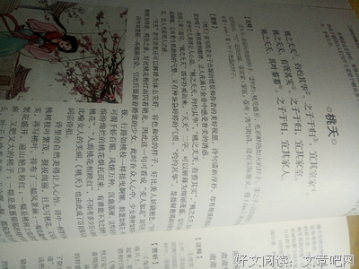 有关最爱的句子