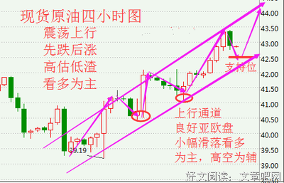社能为金外万道金经典的句子