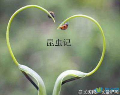 有关世界大战的美句摘抄