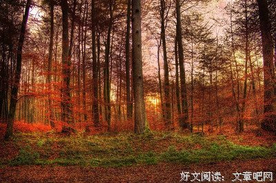 不见得的句子
