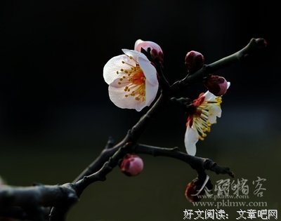 爱的你经典的句子