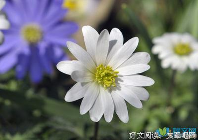 关于心伤的句子