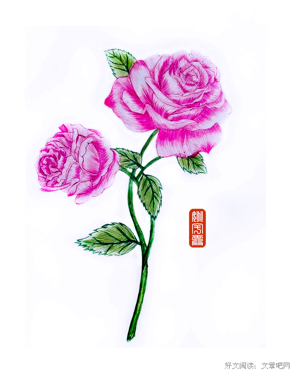 笔花唱语