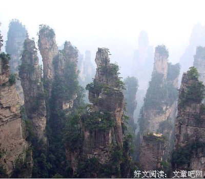 最新的《人性的、太人性的》经典名句