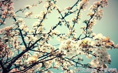 《倾城恋》的句子