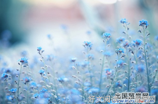 斑驳经典的句子