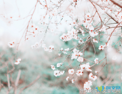 关于出起心想时花开的句子
