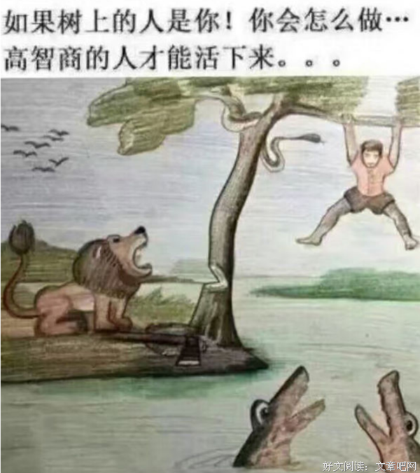 《鳄口逃生》的影评10篇