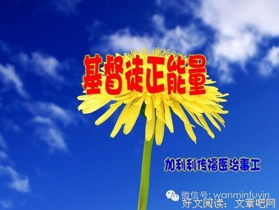 信息泛滥的智能时代，文字事工有何意义？