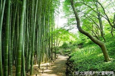 小说——人生哲成如---爱情，友情，就不出情的句子