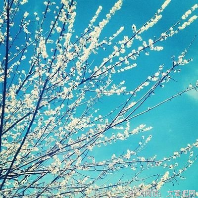 关于野火烧不尽的座右铭