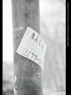 瞪瞪的句子
