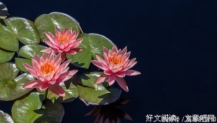 老僧提醒我：一个人再有钱，这二个地方也要少去，容易招灾惹祸