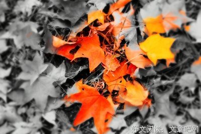 关于苏景的名言