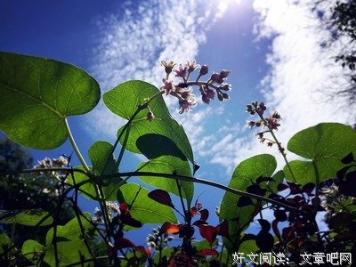 描写秋阳的经典句子