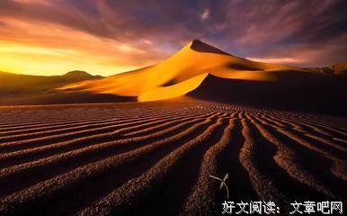 有关夏安的美文美句摘抄