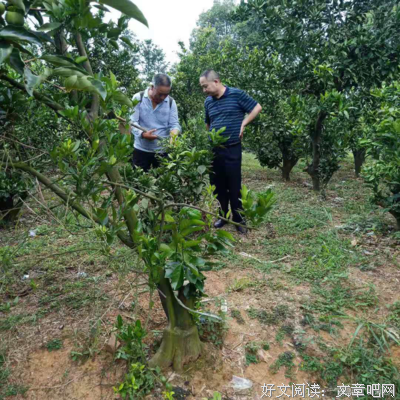 关于李青山名言名句